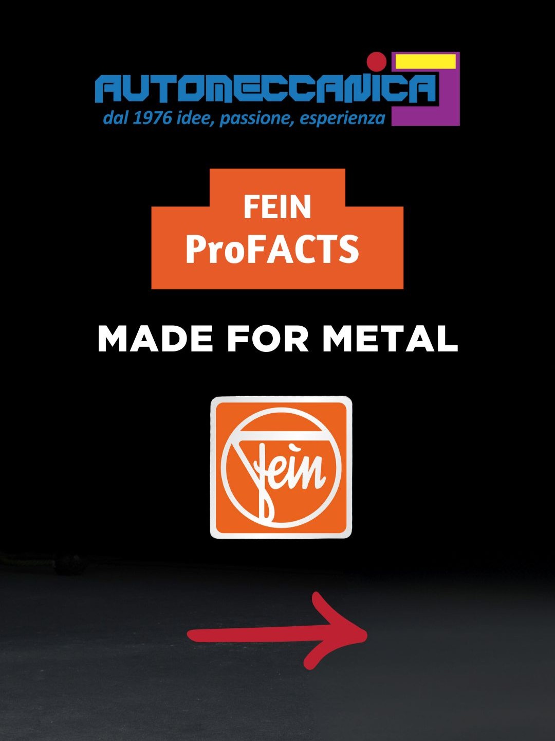 fein-pro-facts2